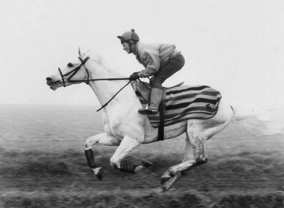 Desert Orchid - Showjumping